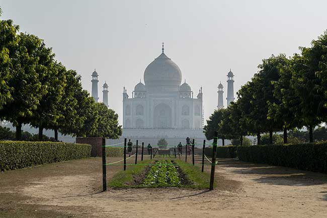 Taj Mahal seen from across river.