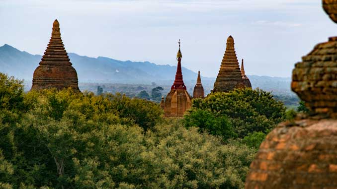 Temples in the forest