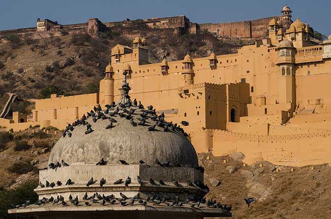 Amber Fort.