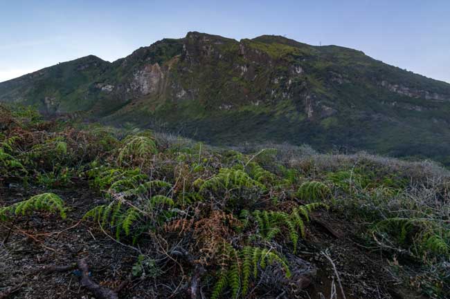 Mountainside between Ijen crater.