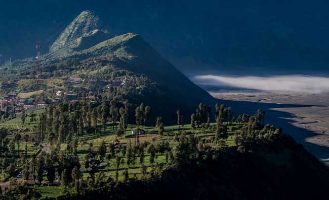 The edge between Cemoro Lawang and the 'sea of sand'.