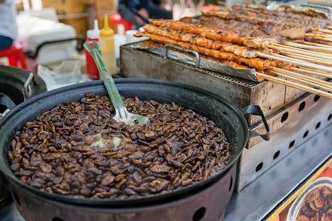 Silk worm pupae.