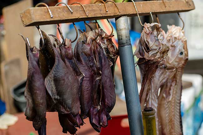 Rack of drying fish.