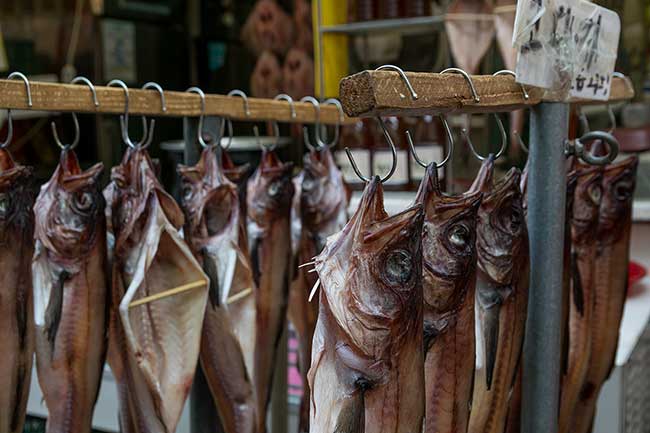 Fish drying in market.