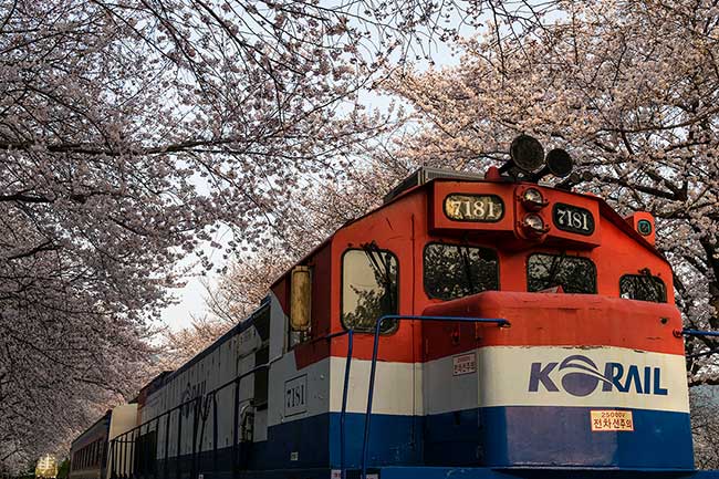 Up close shot of train.