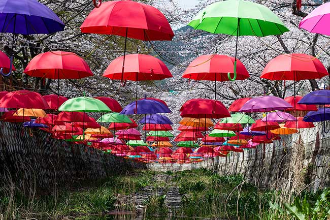 Umbrellas hanging up.