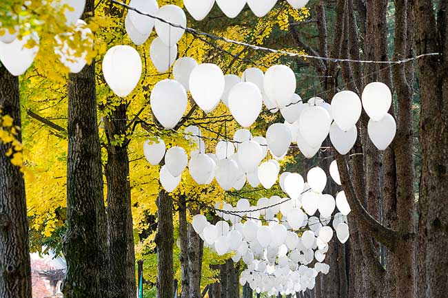 White light lanterns in forest.