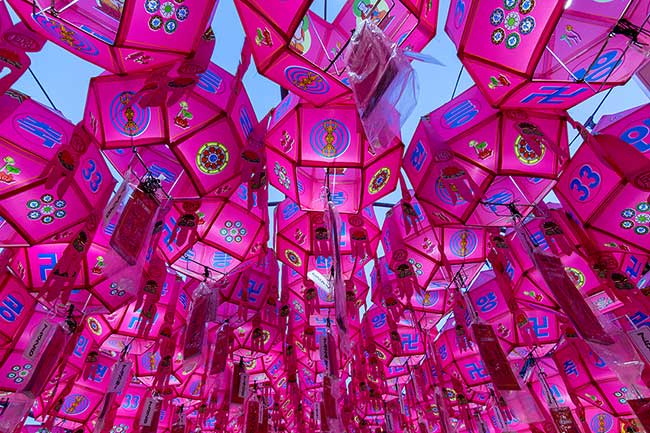 Pink lanterns at Samgwangsa Temple.