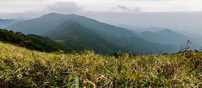 Panorama from Sobaeksan Mountain.