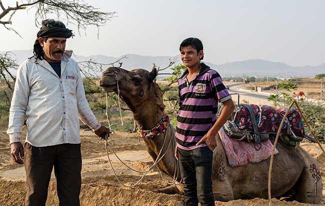 Camel owner in front of camel.