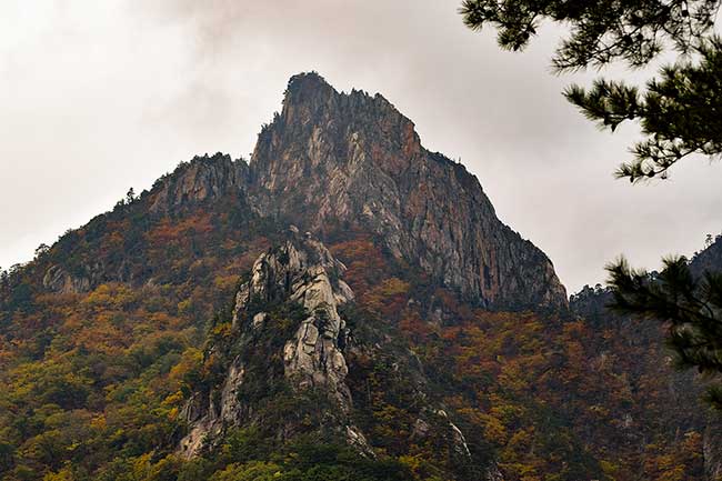 Fall colors surrounding rock.