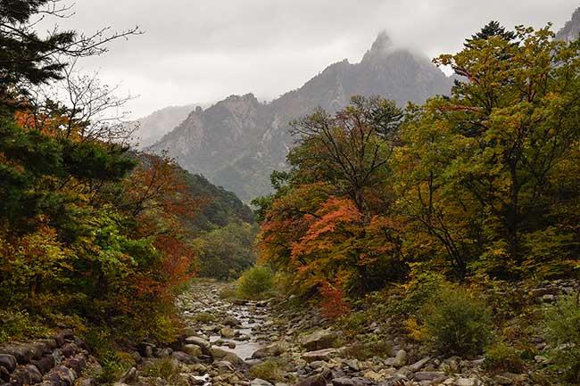 River bed with fall colors.