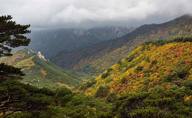 Wide-angle view inside Seoraksan Park.